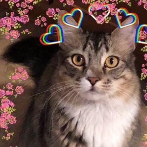 Meet your Posher, Piper